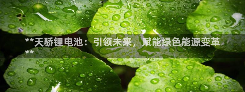 凯时官网下载客户端