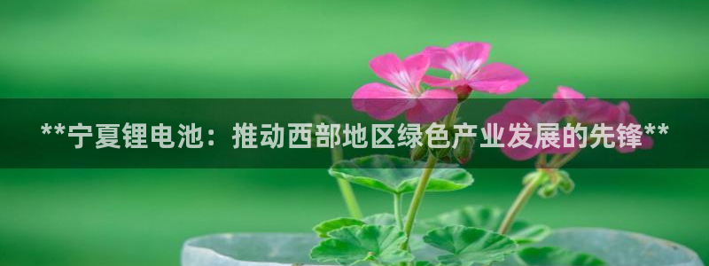 凯时kb88公司简介