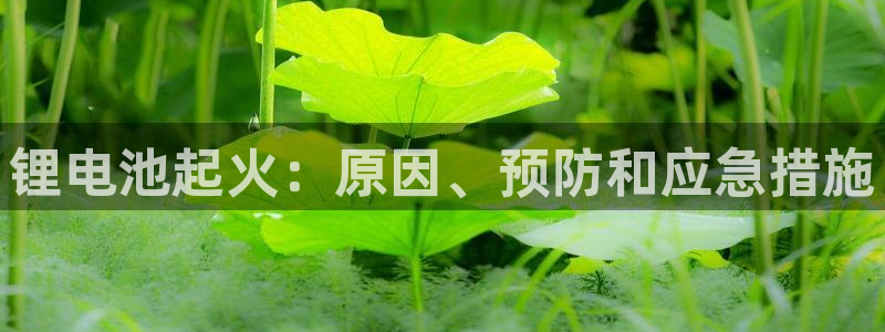 尊龙d88手机版下载
