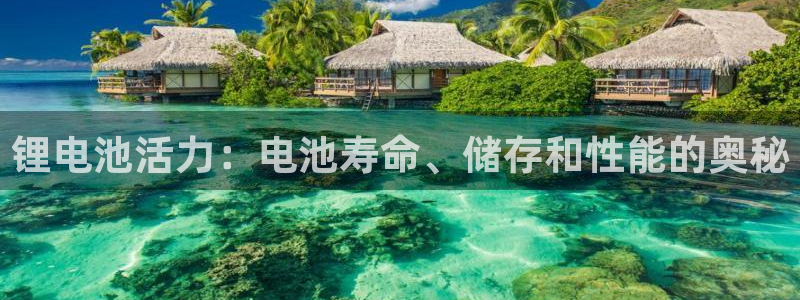 d88尊龙凯时
