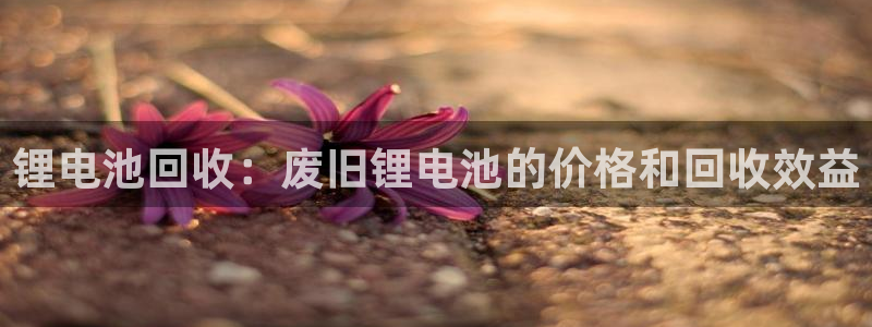 尊龙凯时老板