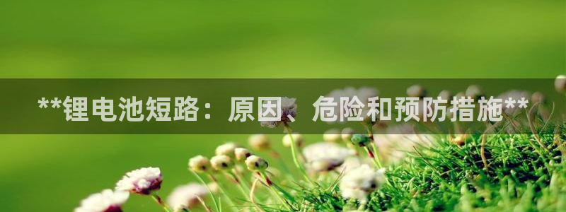 尊龙网站手机下载