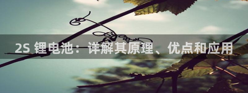 尊龙-人生就是博!