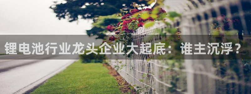 下载尊龙