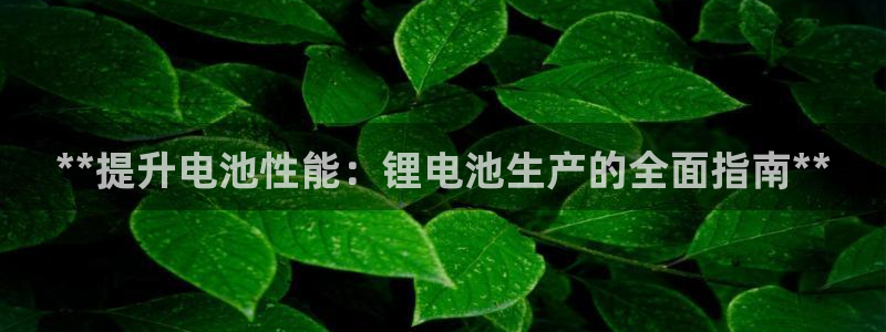 尊龙-人生就是博!