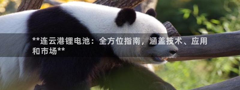尊龙一生也走不出自己的童年