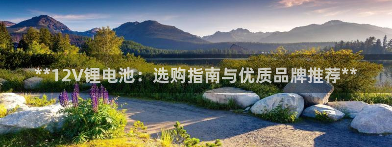 尊龙凯时老板