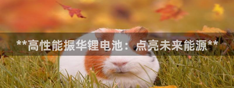 尊龙凯时 人生就是搏客服
