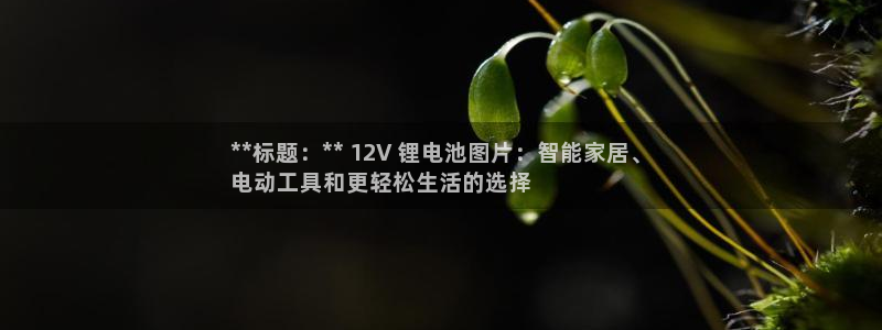 尊龙人生就是傅官网
