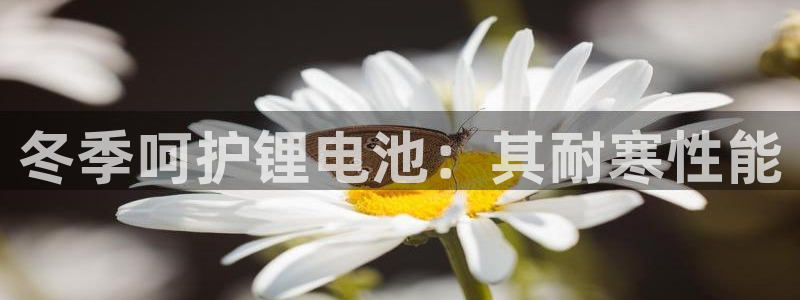 ag旗舰平台尊龙代言