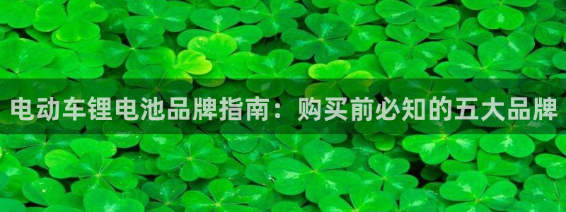 凯时kb88官网网址