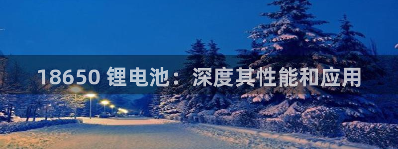 尊龙体育电竞官网