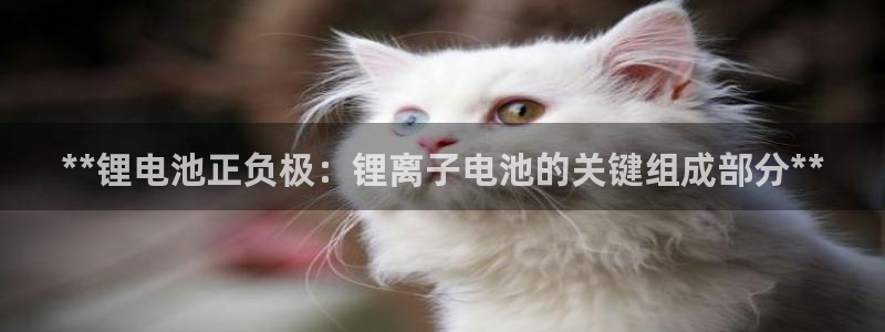 尊龙凯时邀请码