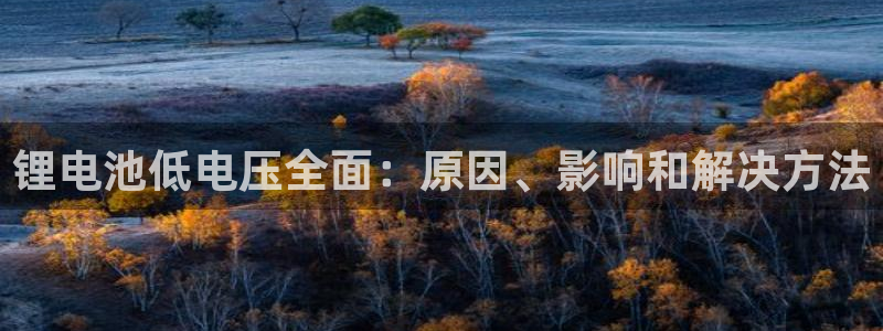 尊龙凯时