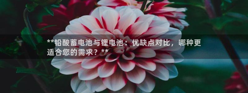 尊龙官方网址