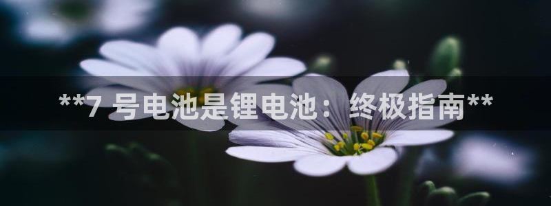 凯时最新官方APP下载