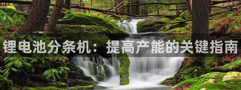 凯时官网手机版下载