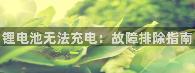 尊龙凯时请求参数不符合