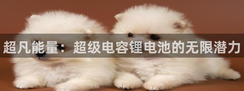 尊龙凯时下载人生就是博