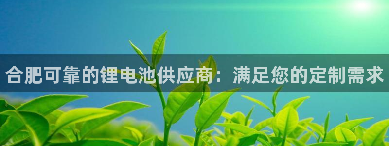 尊龙凯时 人生就是搏 平台