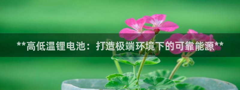 尊龙凯时vip