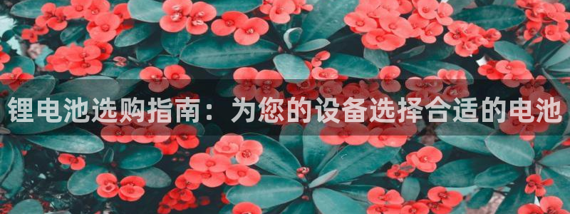 尊龙凯时平台不给出款怎么办