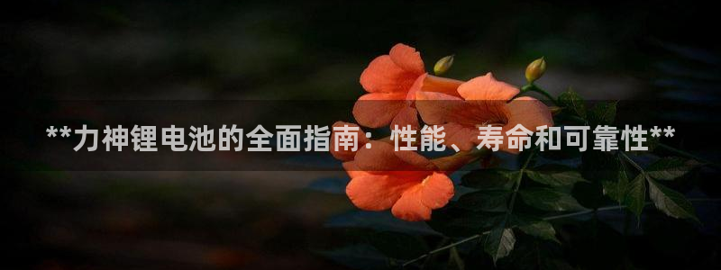 尊龙人生手机版