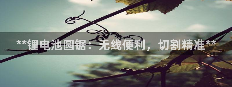 尊龙官方网站最新版V9.3.06