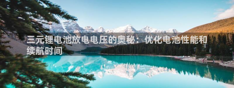 尊龙凯时代理官网入口