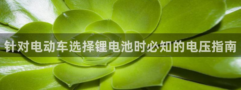 尊龙人生就是博管网