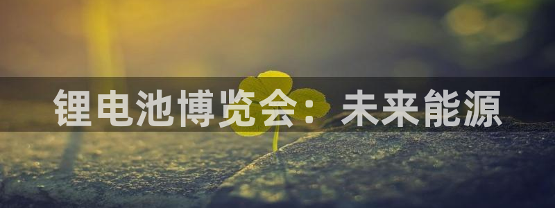 尊龙凯时网站不让提款
