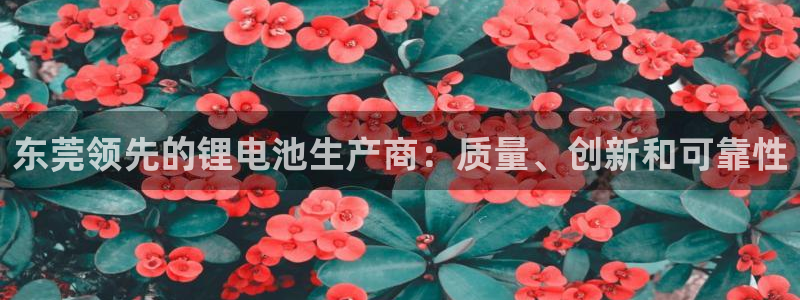 尊龙官方APP下载