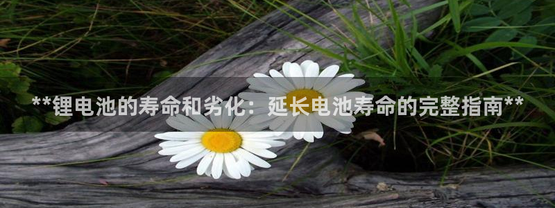 尊龙凯时网站赌愽做假吗