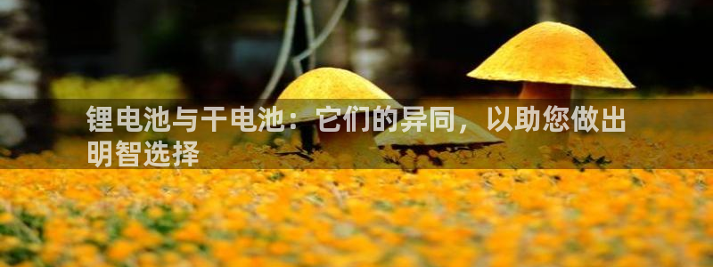 ZL尊龙凯时平台
