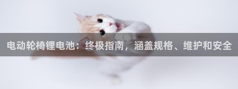 尊龙d88用现推选ag发财网