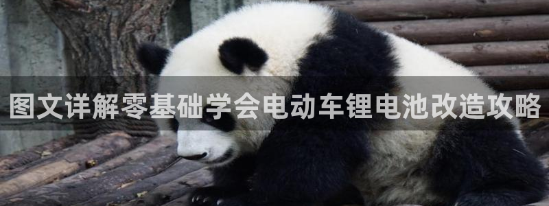 尊龙凯时网娱乐官网