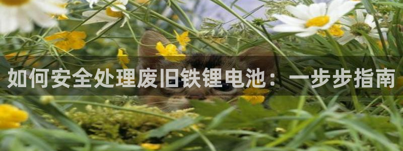 尊龙凯时合法吗?