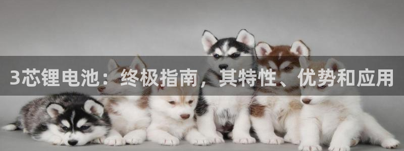 尊龙现金一下指导AG发财网