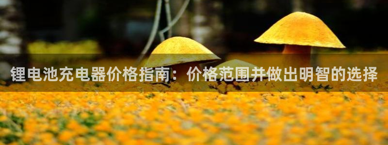 尊龙旗舰app