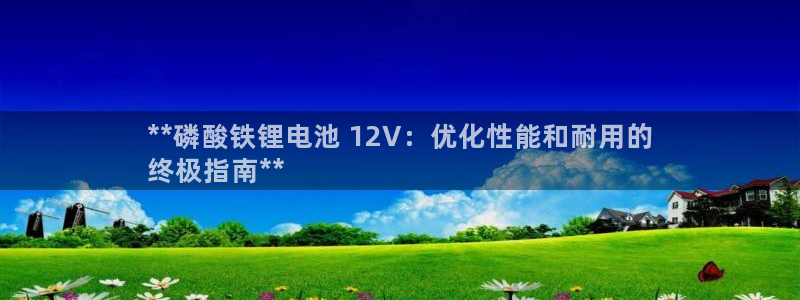 尊龙现金d88：**磷酸铁锂电池 12V：优化性能和耐用的
终极指南**