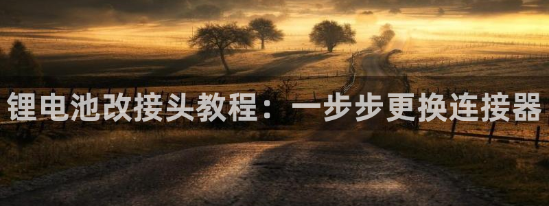 尊龙 下载