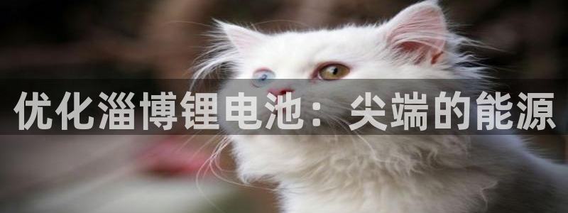 尊龙官方身高