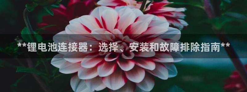 尊龙d88官网准认来就送38：**锂电池连接器：选择、安装和故障排除指南**