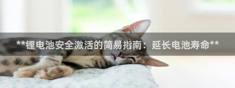 凯时国际娱乐官方网址