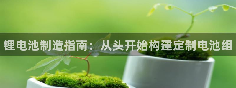 尊龙王t400：锂电池制造指南：从头开始构建定制电池组