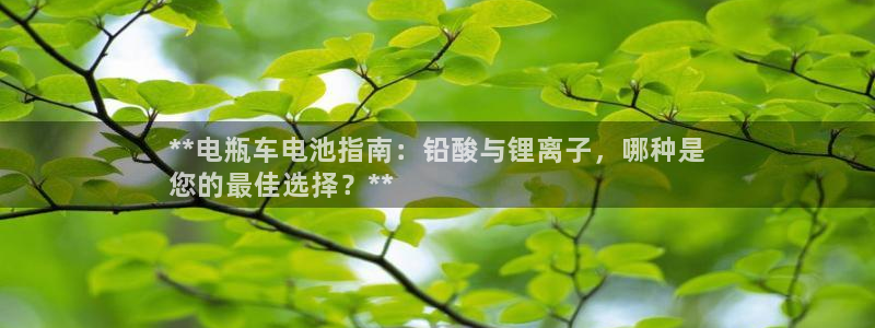 尊龙目前在哪