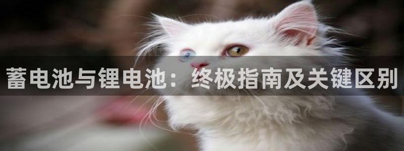 尊龙凯时集团