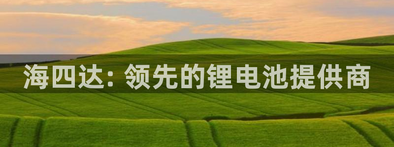 尊龙手机官方客户端下载：海四达: 领先的锂电池提供商