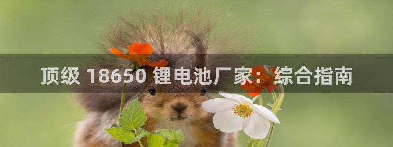 尊龙凯时网页版
