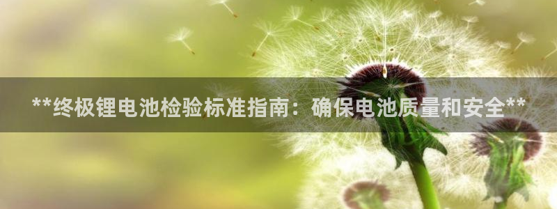 尊龙实业：**终极锂电池检验标准指南：确保电池质量和安全**
